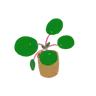 Grassdener님의 프로필 사진